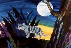 Кошка, гулявшая сама по себе (сказка) Кошка дикая